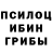 Галлюциногенные грибы Cubensis Ankit Meghwal