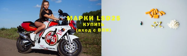 спиды Ладушкин