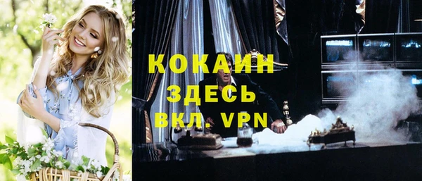спиды Ладушкин