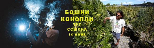 спиды Ладушкин