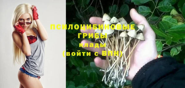 метадон Лабытнанги