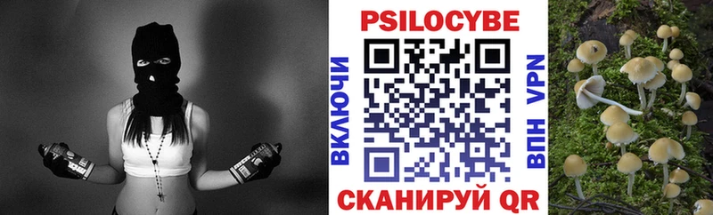 Псилоцибиновые грибы Psilocybe  где найти   darknet официальный сайт  Лодейное Поле 